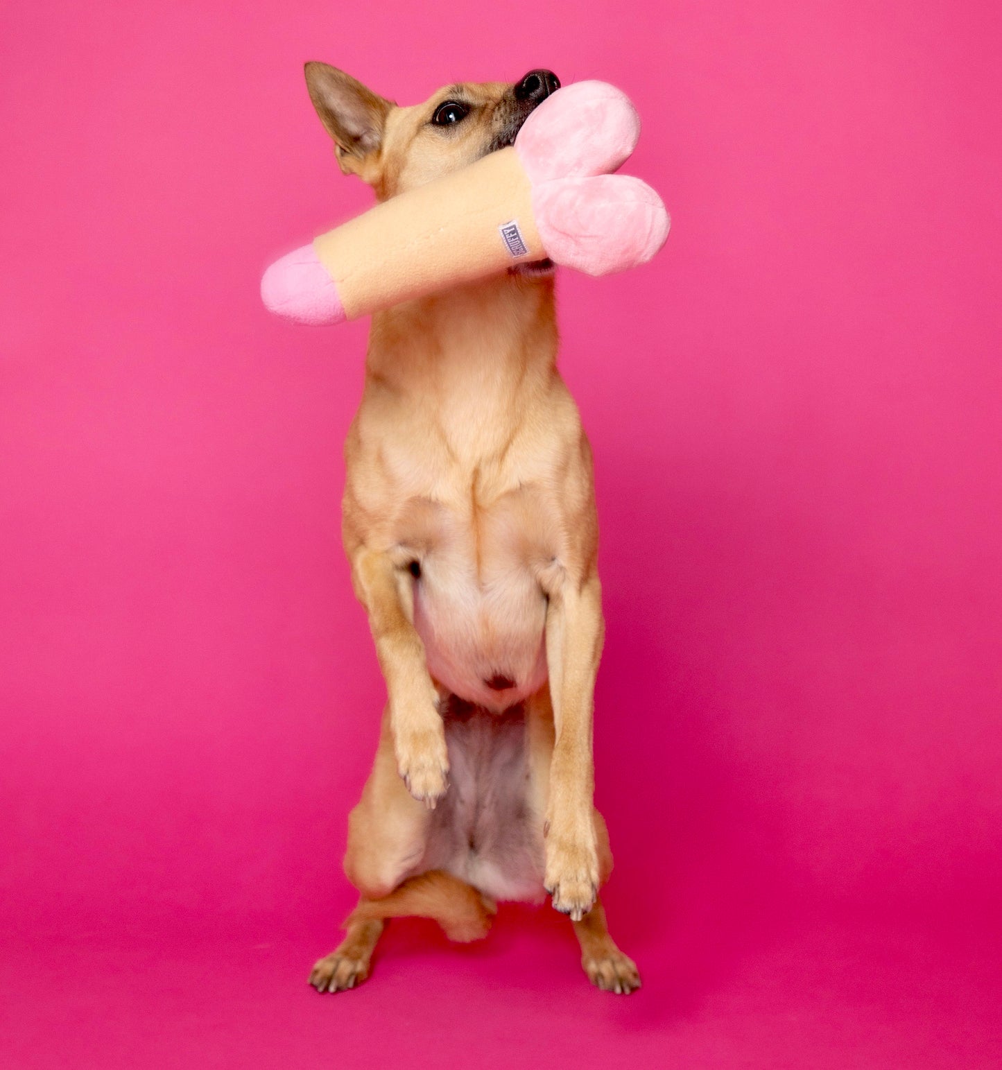 Scruffy Plushie Squeaky Dog Toy in the shape of a dildo