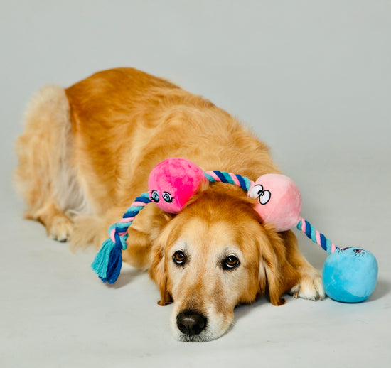 Naughty Mutts Scruffy Toys Naughty Mutts Scruffy Toys