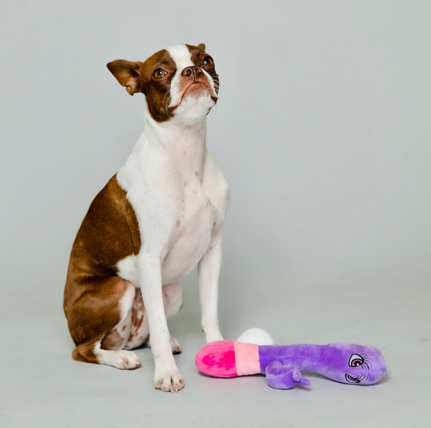 Naughty Mutts Scruffy Toys Naughty Mutts Scruffy Toys