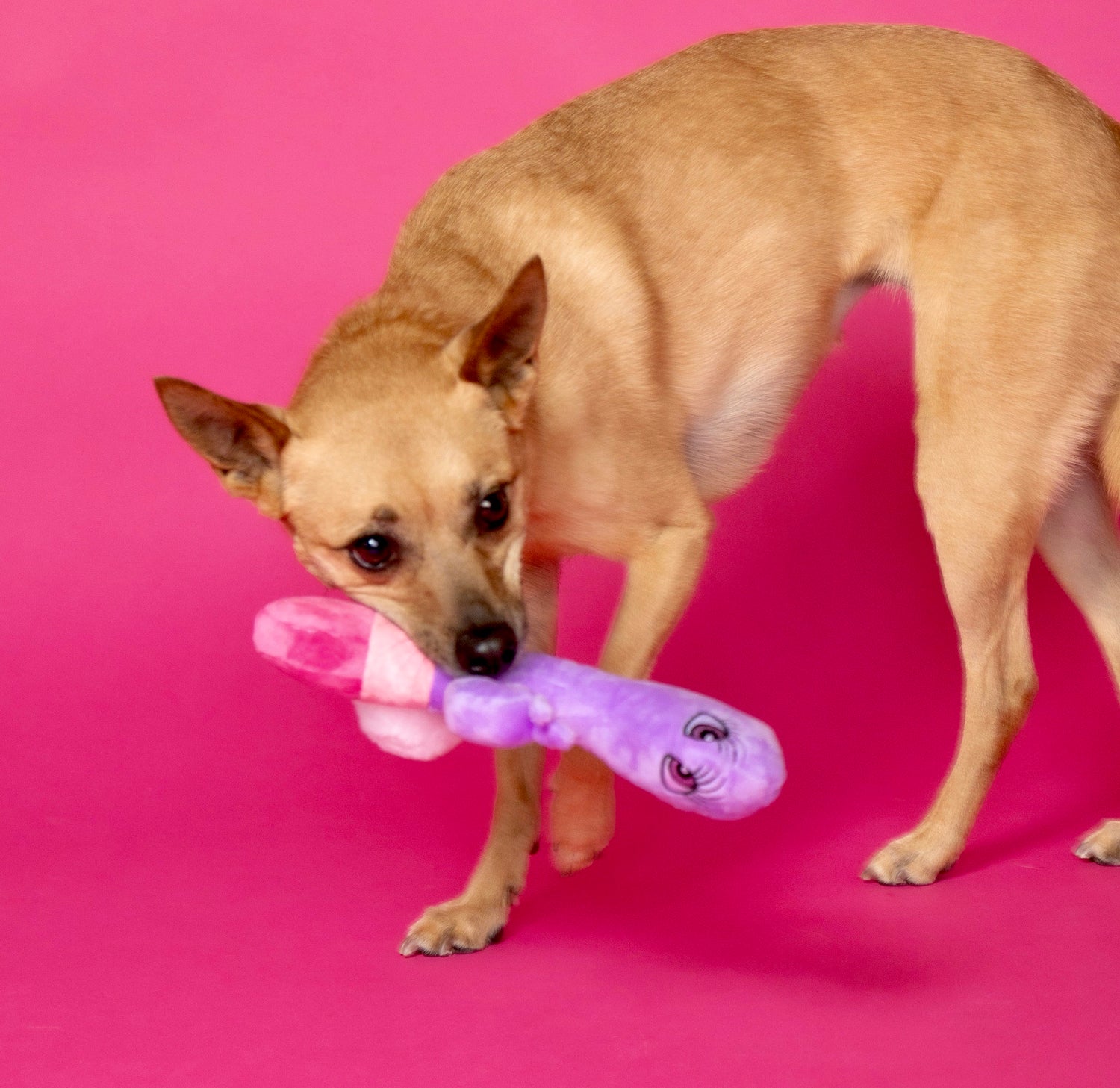 Naughty Mutts Scruffy Toys Naughty Mutts Scruffy Toys
