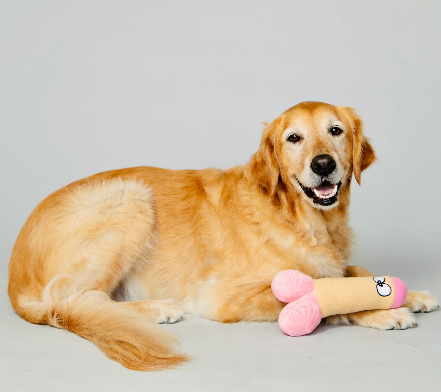 Scruffy Plushie Squeaky Dog Toy in the shape of a dildo