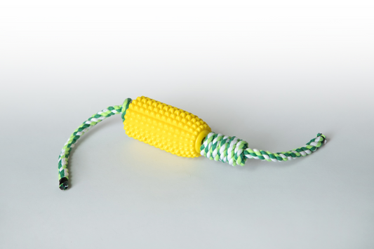 Scruffy - Corn Holer
