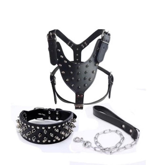 Scruffy - The Leather Collection - Leash - Circus of Books